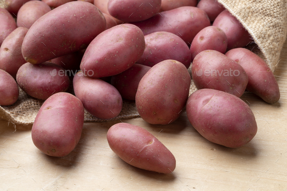 Fresh small Roseval potatoes from a burlap bag - Stock Photo - Images