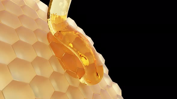Closed cells of honeycombs with transparent honey. alt