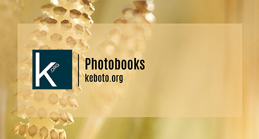 Photobooks