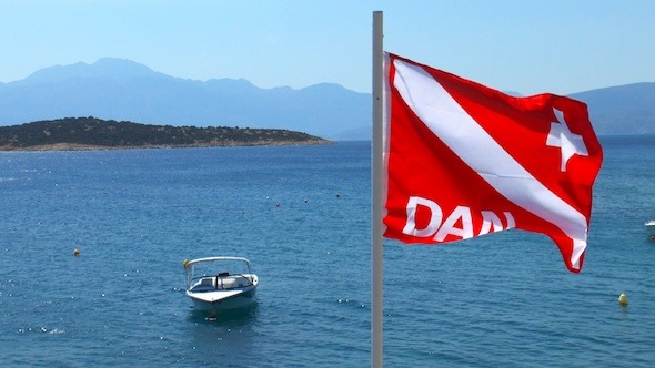 Divers Alert Network (DAN) Flag Waving