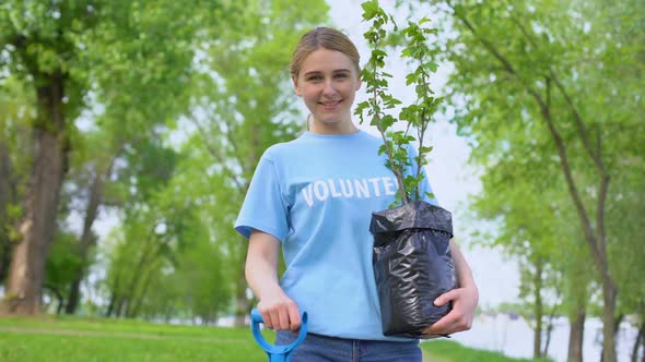 Attractive Female Volunteer Holding Tree Seedling, Environmental Protection alt