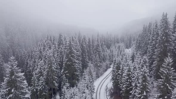 Flight Over Road and Winter Forest alt