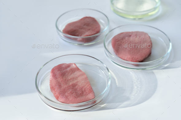 lab gown meat in a Petri dish. Meat in glass cell culture dish