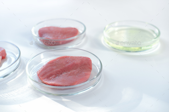 lab gown meat in a Petri dish. Meat in glass cell culture dish