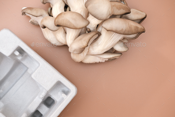 mushroom packaging solution. compostable packaging - Stock Photo - Images