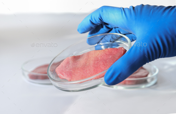 hand holding lab gown meat in a Petri dish. Meat in glass dish