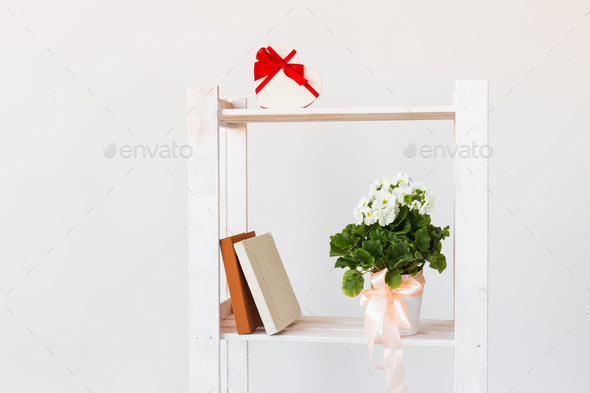 Heart shape gift box and books and indoor plant on a bookshelf. Minimal composition. Spring interior
