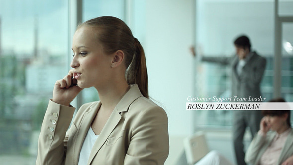 Discreet Business Lower - VideoHive 3193396