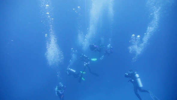 Group of Divers With Many Air Bubbles