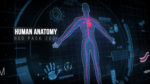 Human Anatomy HUD Pack 200+ Elements template preview
