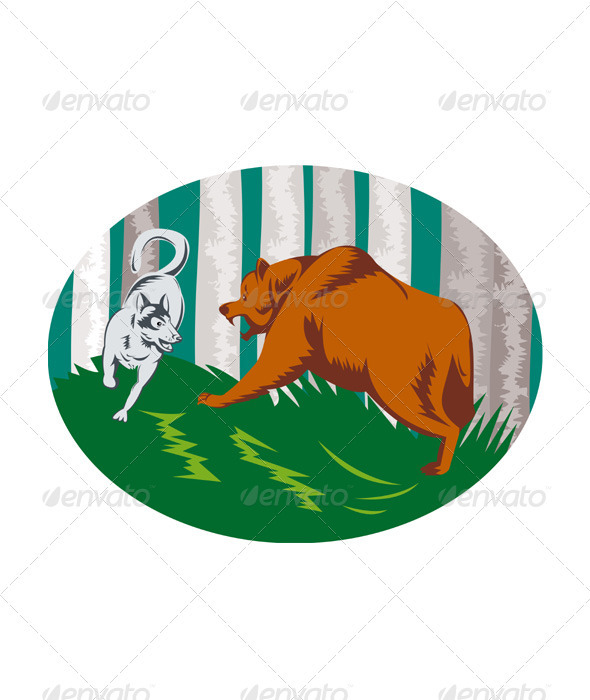 Wild Dog Wolf Fighting Grizzly Bear - Animals Characters