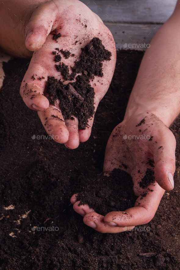 Close-up male hands hold and pour soil.