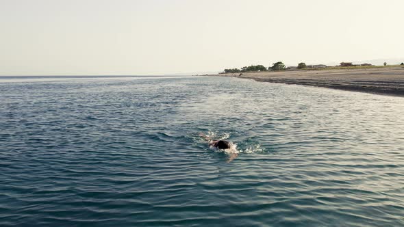 Freestyle Swimming in the Ocean alt