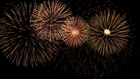 Firework New Year alt