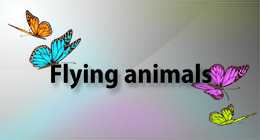 Flying animals