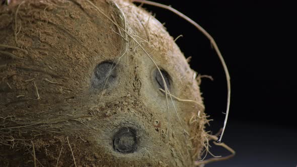 Coconut, Fruit Tropical, in Studio  alt