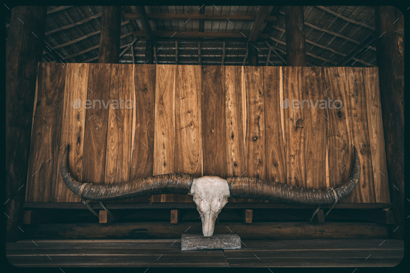 The skull with horns on the wooden background