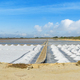 Panoramic view of salt evaporation pond on Sicily island - PhotoDune Item for Sale
