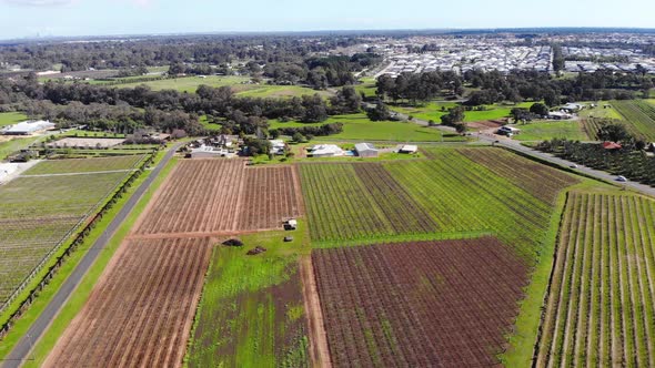 Aerial View of a Farmland in Australia
