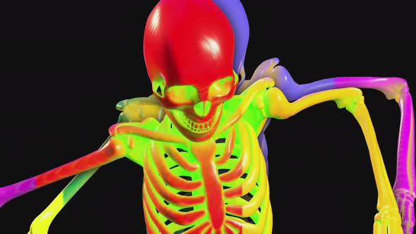 4K candy colorfull skeletons