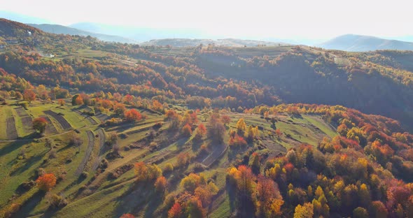 Warm Autumn Morning of Fascinating Yellow Meadow in Scenic Aerial View a Mountains the Beautiful alt