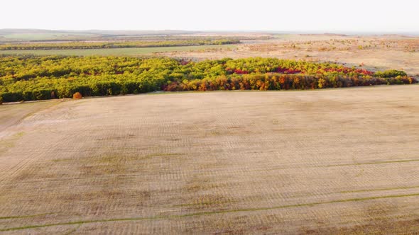 Autumn Multicolored Deciduous Forest and Fields Top View From a Quadrocopter