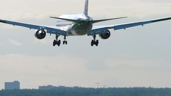 Airliner Landing on the Runway alt