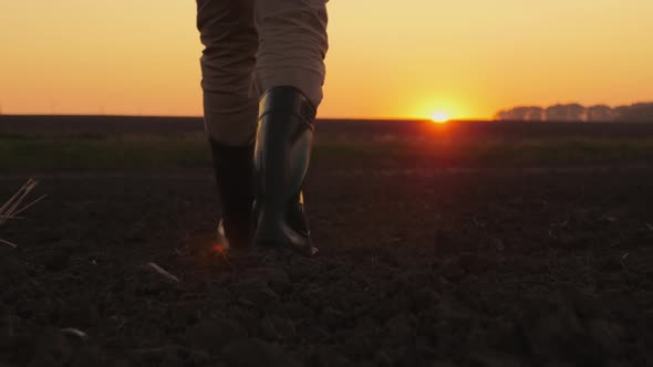 Farmer Walking Through Agricultural Field at Sunset alt