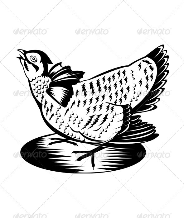 Prairie Chicken Hen Retro - Animals Characters