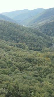 Carpathian Mountains alt