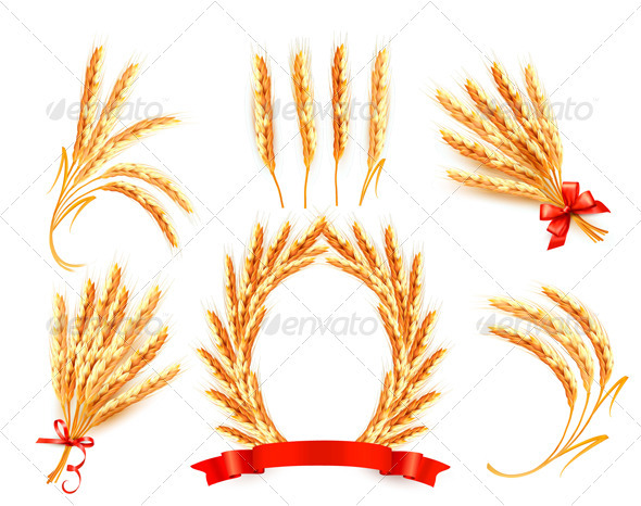 Ears of wheat with label - Flowers & Plants Nature