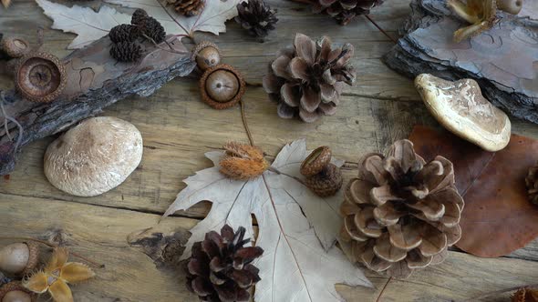 Autumn Still Life 14 alt