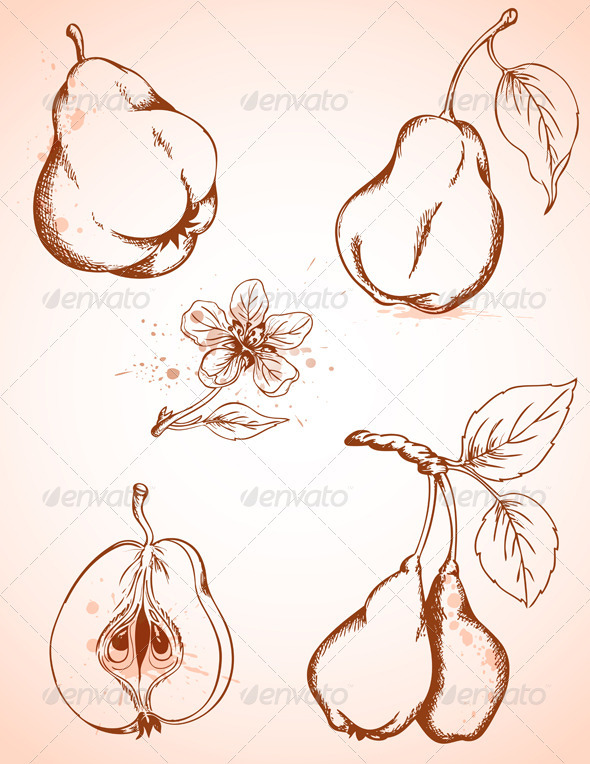 Vintage Pears - Food Objects
