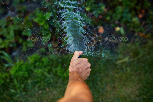 Woman hand watering the plants in the garden