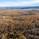 Flying above of canopy of birch tree forest. Aerial drone view - PhotoDune Item for Sale