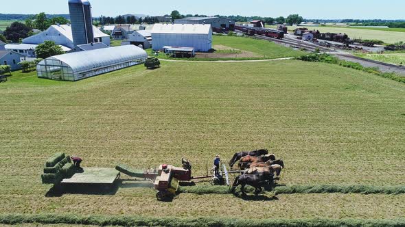Aerial View of an Amish Farmers with Five Horses Harvesting His Crops and Loading Them on to a Cart alt