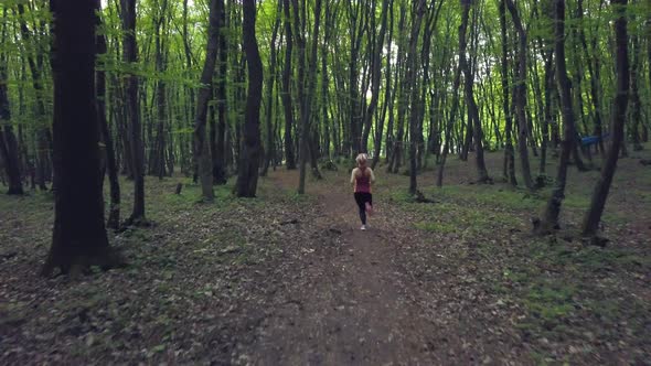 Pov Wandering and Walking Through Forest Path In Vast Pine green tree trunk , Forest pattern Summer alt