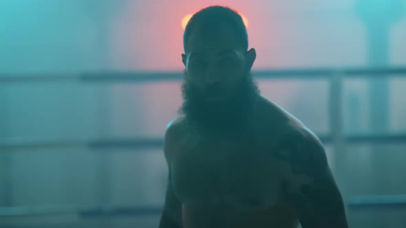 Formidable Fighter Silhouette alt