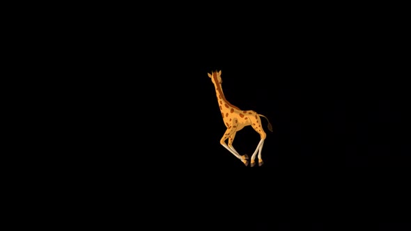 Little baby giraffe runs fast and looks around alpha matte extreme long shot