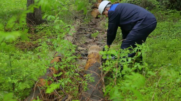 Man with chainsaw working in forest