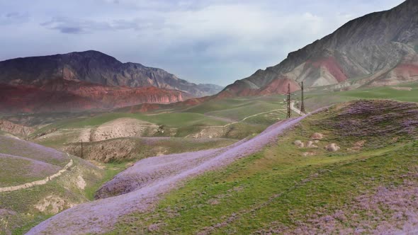 Fabulously Beautiful Fields of Gently Purple Lavender Hills Against the Background of Rocky
