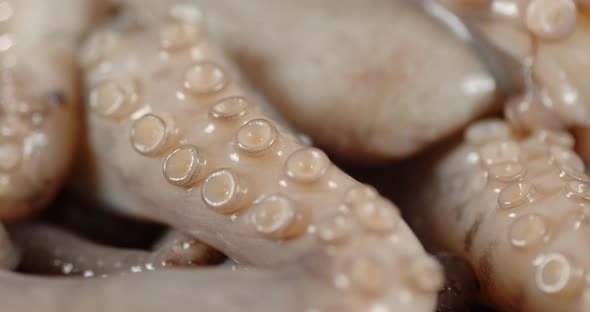 Raw Octopus Slowly Rotates on the Table. alt