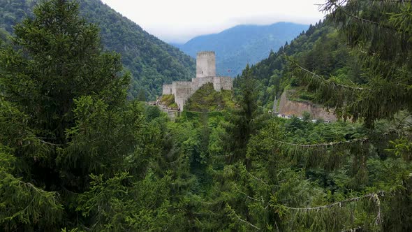 Castle Among The Trees alt