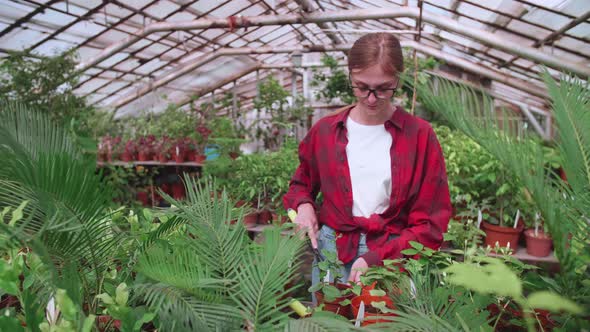 Girl in Red Shirt Transplants Flowers in Greenhouse Works Tools