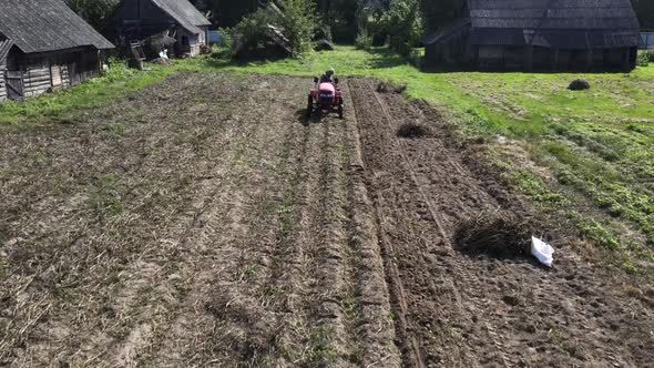 Farmer Digs Potatoes with a Small Tractor