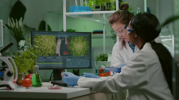 Collegues Checking Medical Expertise on Computer Researching for Gmo Meat Sample alt