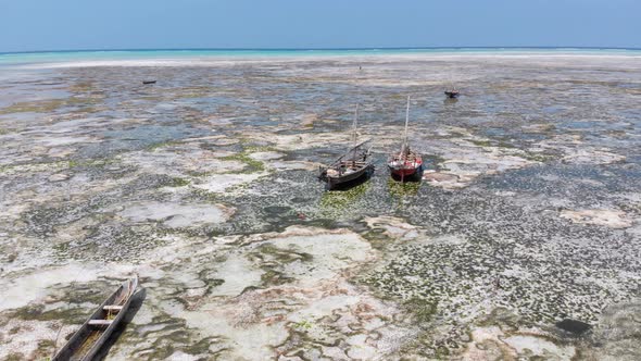 Many Fishing Boats Stuck in Sand Off Coast at Low Tide Zanzibar Aerial View alt