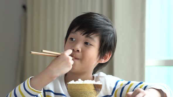 cute-asian-boy-eating-rice-with-chopsticks-by-lufi-morgan-videohive