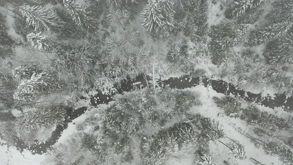 Top down aerial of small creek running through snow covered forest alt