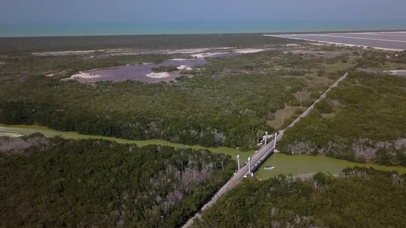 Aerial view on Mexican jungle and a lagoon in Rio Lagartos in Yucatan in Mexico alt